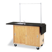Diversified Spaces™ Mobile Laboratory Table, Rectangular, 48w x 24d x 36h, Black Item: DVW4121K