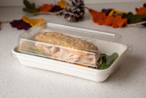 Eco-Products® Worldview 100% Recycled Content Lid, 10.82 x 10.71 x 1.83, Clear, Plastic, 200/Carton Item: ECOEPSCRC107LIR